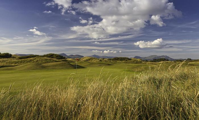 14th green with Mt Snowdon in the distance
